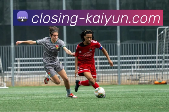 开云官网APP 体育赛事宣传图